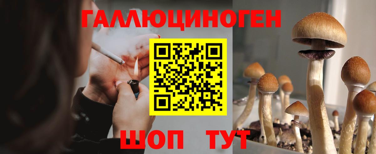 Псилоцибиновые грибы Magic Shrooms Мурино